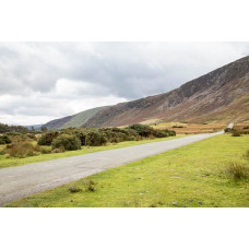 6" x 4" Digital Print  (S)